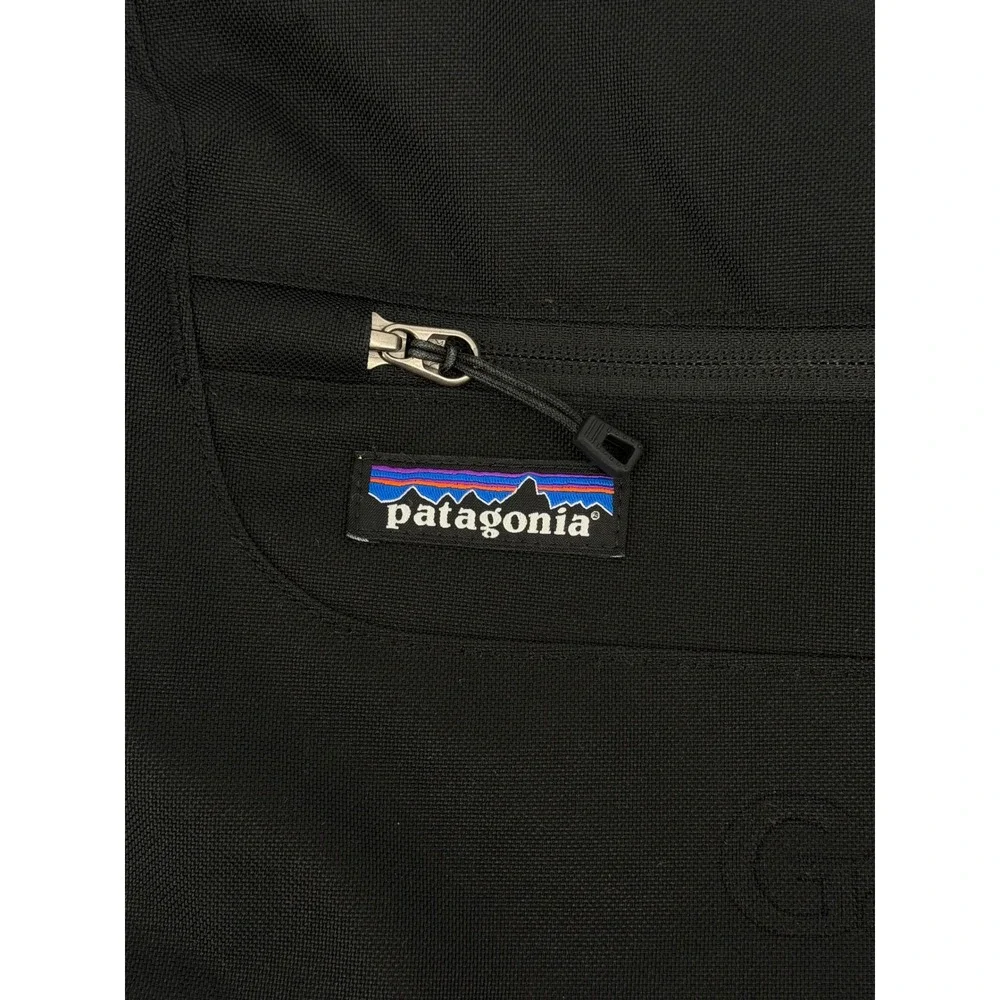 Patagonia critical mass